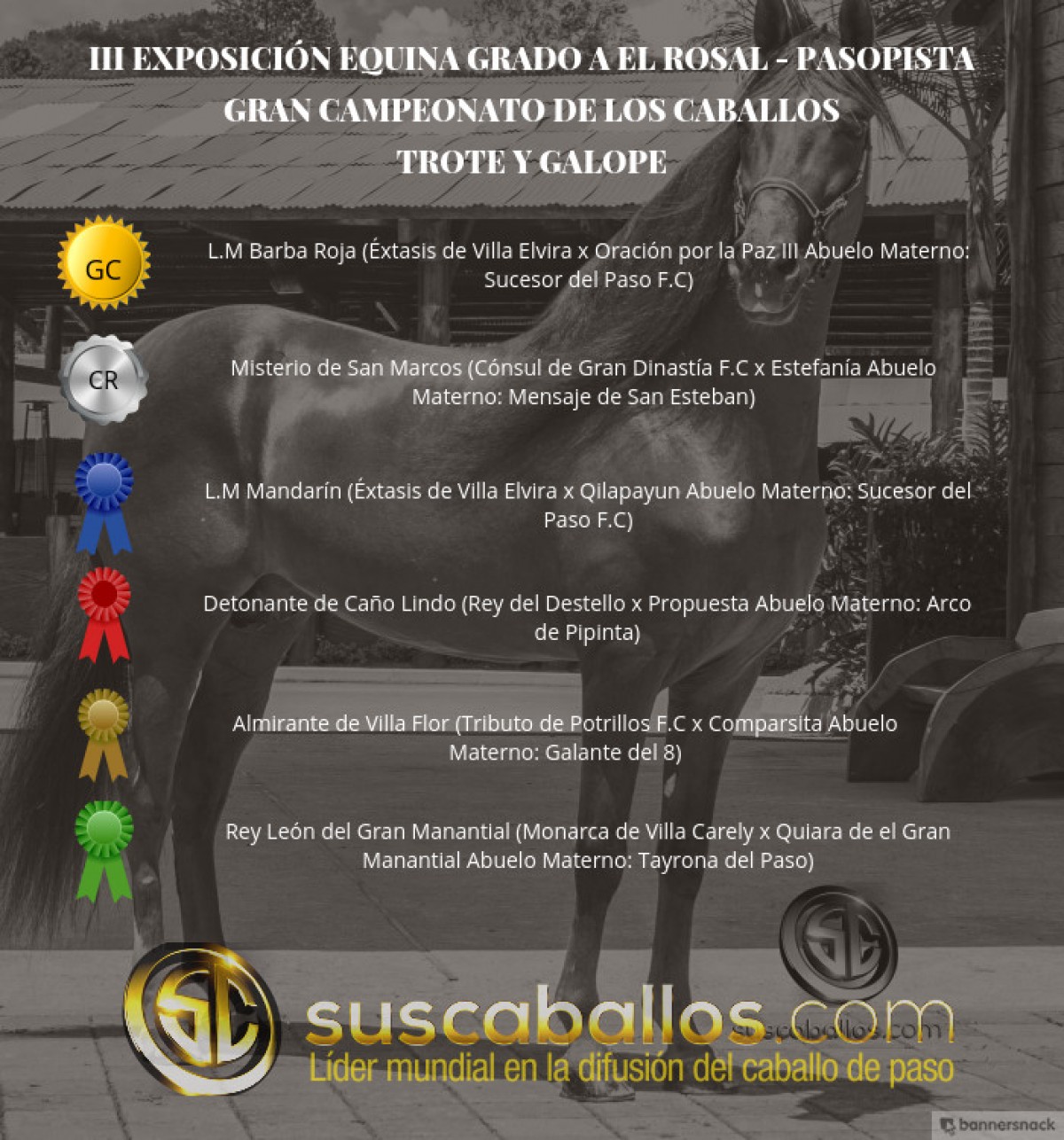 V&Iacute;DEO:L.M Barba Roja Campe&oacute;n, Misterio Reservado, Trote Y Galope, III Exposabana