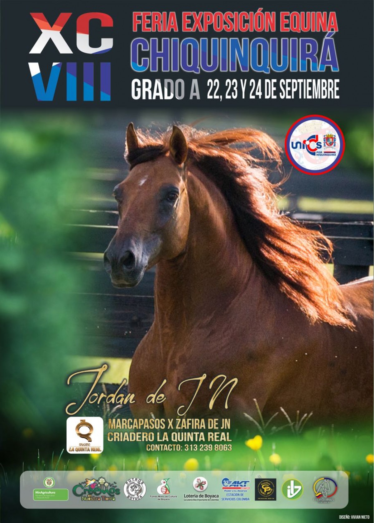 V&Iacute;DEO:Reserva Campeona, Revelaci&oacute;n Reservada, Paso Fino - Chiquinquira 2017