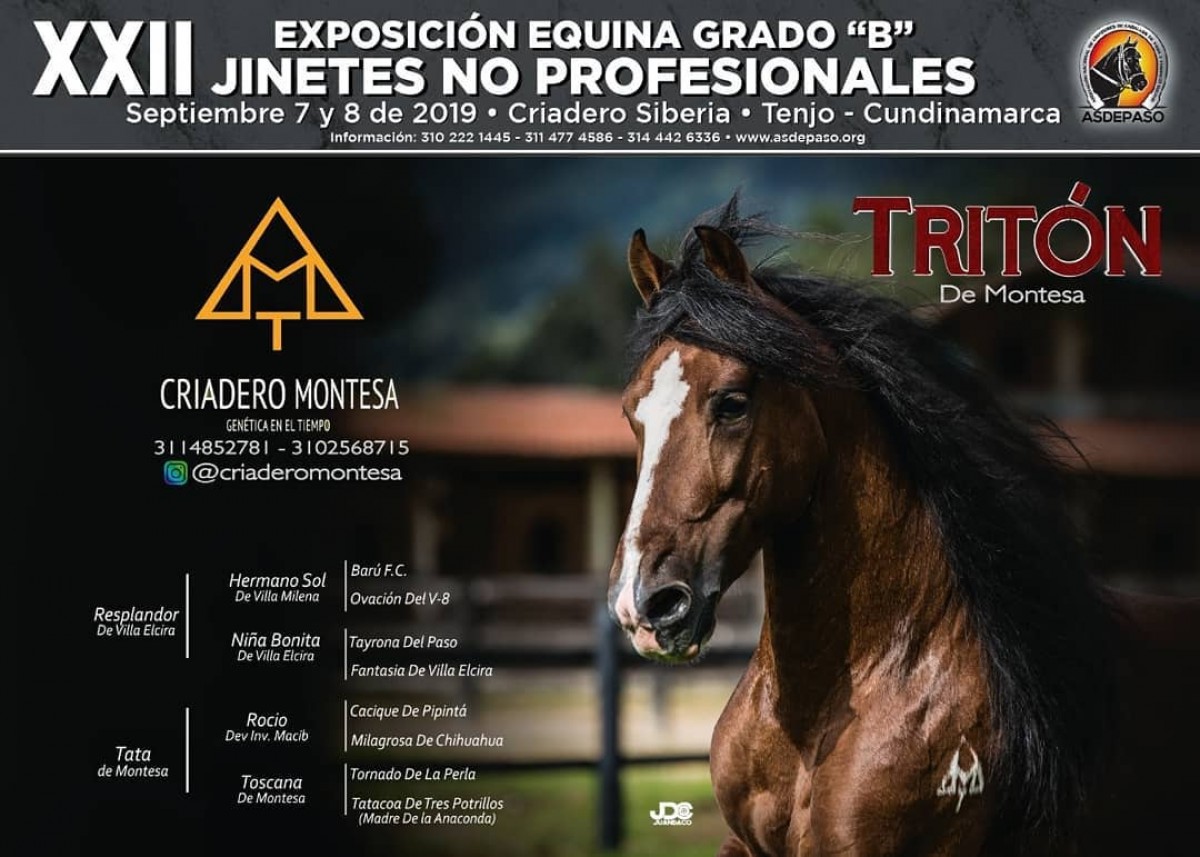 XXII Exposición Equina Grado B, Jinetes No Profesionales, 7 y 8 De Septiembre