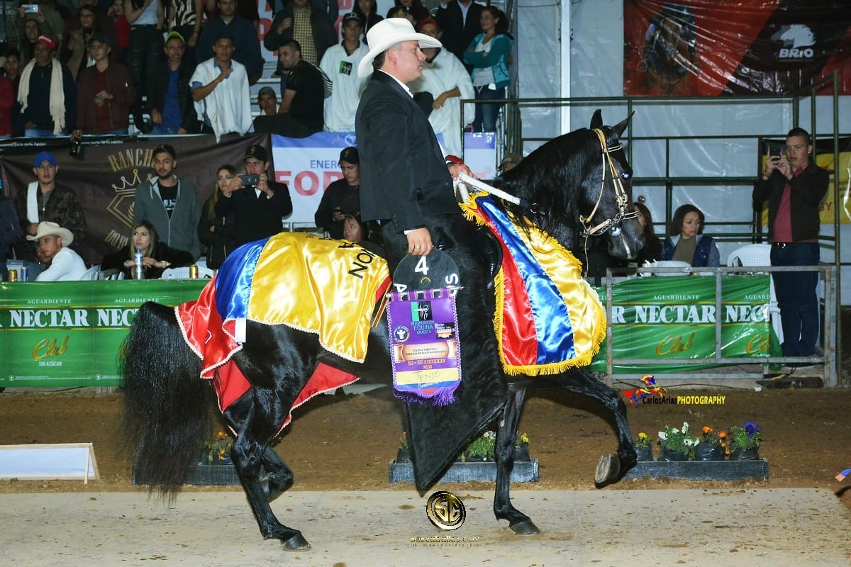 VÍDEO: Salome de la Gloria Gran Campeona Trocha Colombiana, grado A Tenjo
