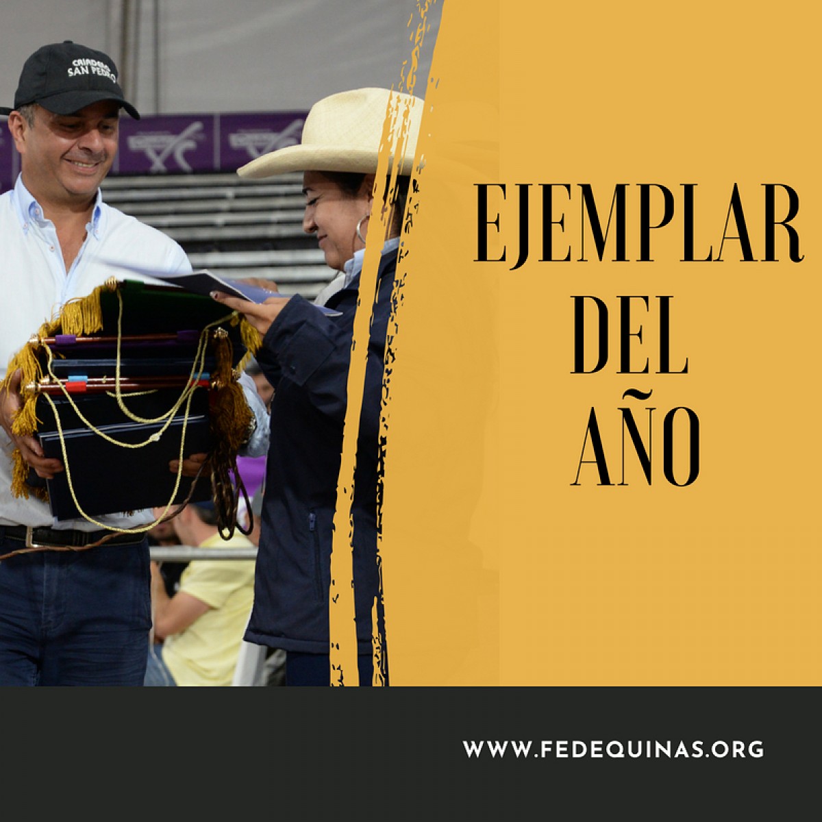 Fedequinas: Ejemplar del Año, Empezará a Regir A Partir del 1 De Enero del 2019