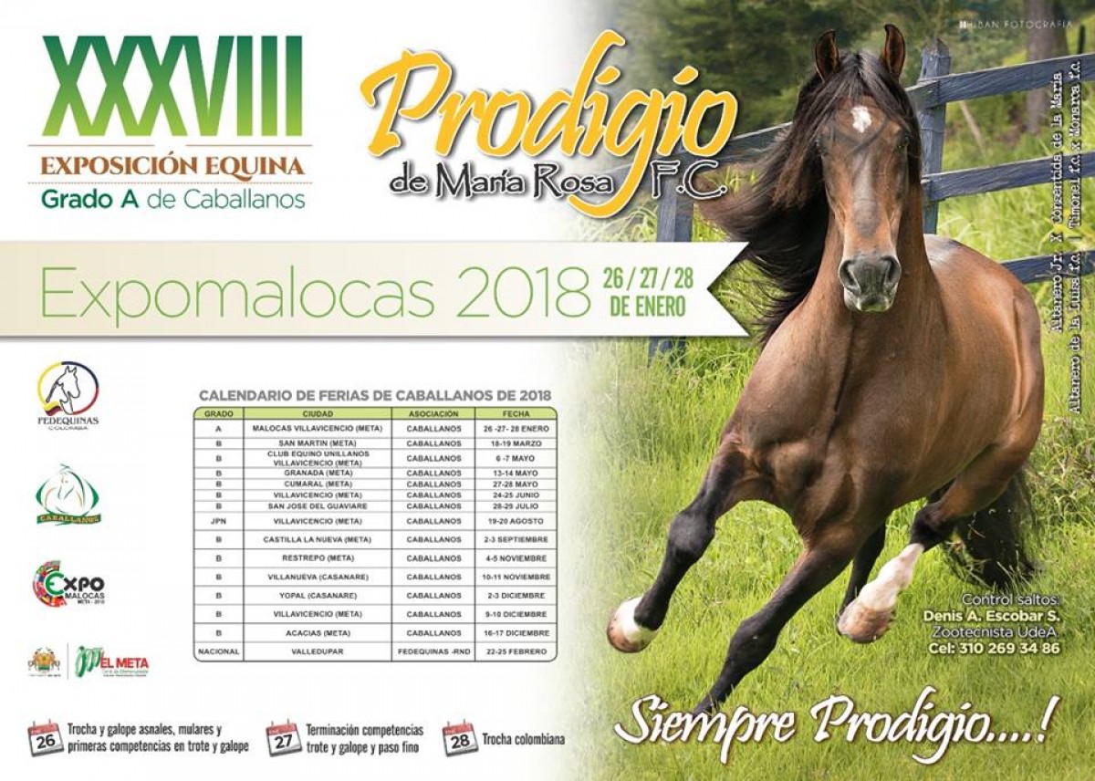 RESULTADOS: XXXVIII Exposición Equina Grado A De Caballanos 2018 - TROTE Y GALOPE