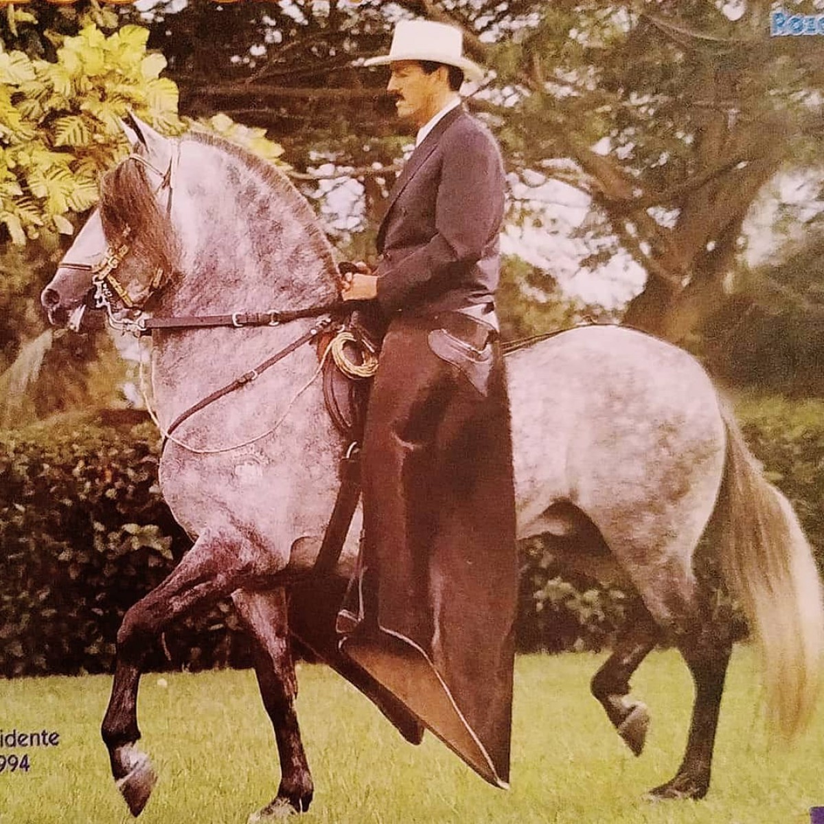 Soberbio de la Luisa, Campe&oacute;n Nacional, Mundial, Y 27 Campeonatos Grado A