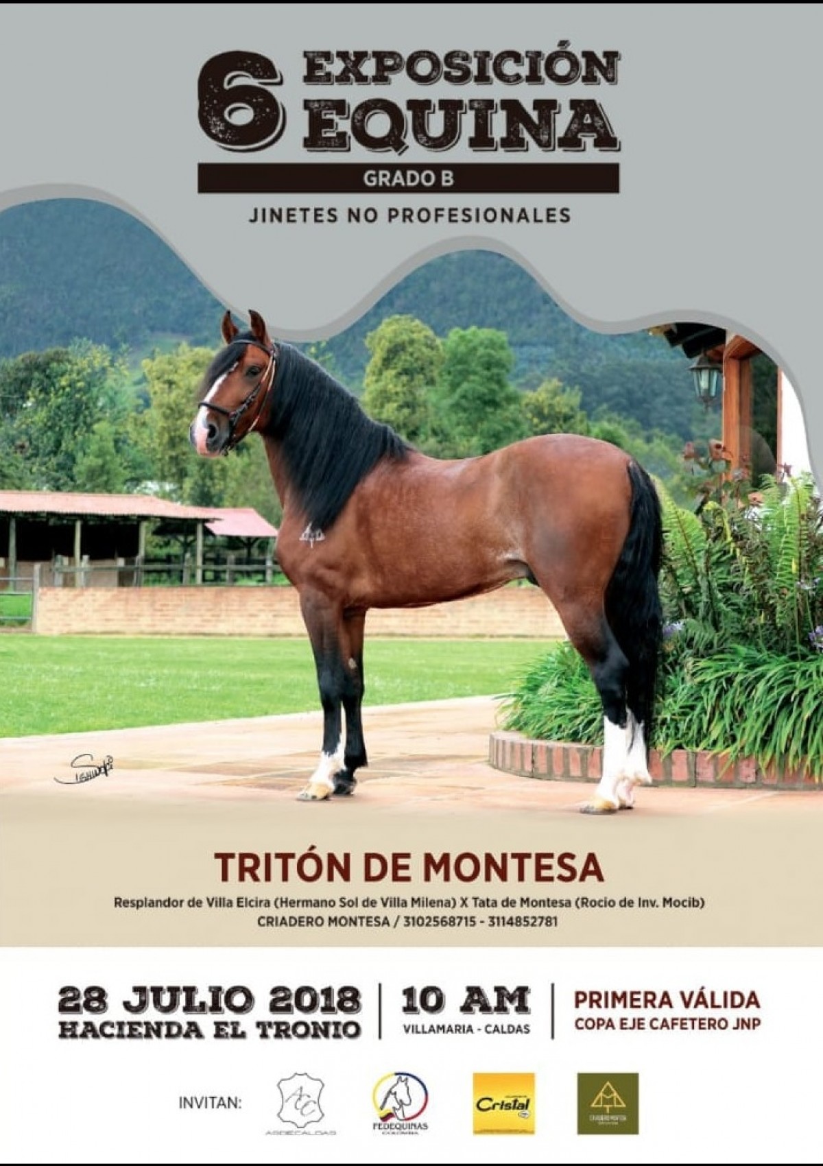 6ta Exposición Equina Grado B Jinetes No Profesionales, 28 De Julio