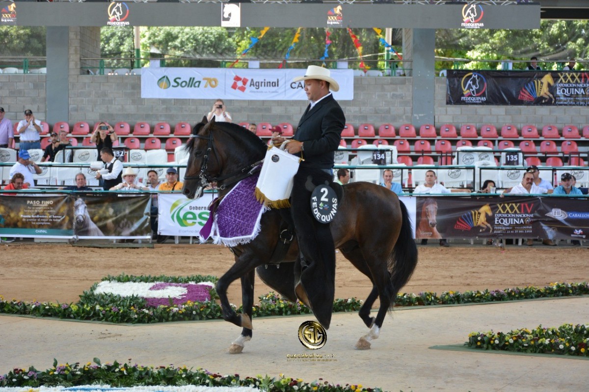 VÍDEO: Zafiro Mejor, L.M Ministro 1P, Potros Trote Y Galope, Nacional 2018