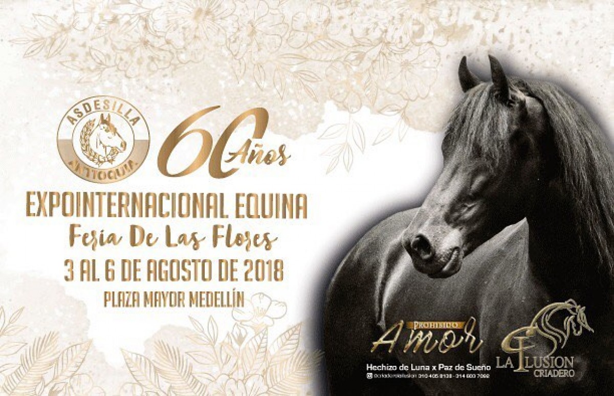 Este año mejor imposible, 60 Años Feria de las Flores!!