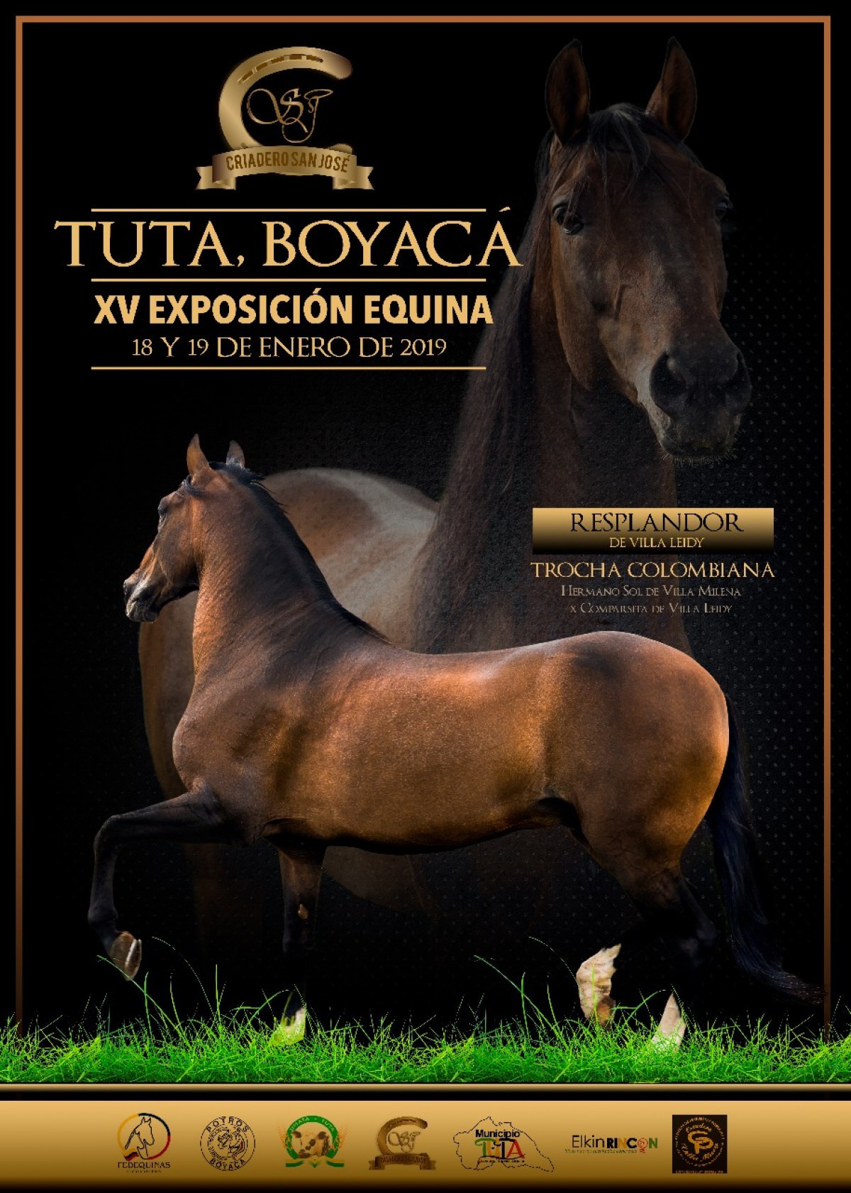 RESULTADOS XV Exposición Equina Tuta - Boyacá Grado B 2019 - TROTE Y GALOPE