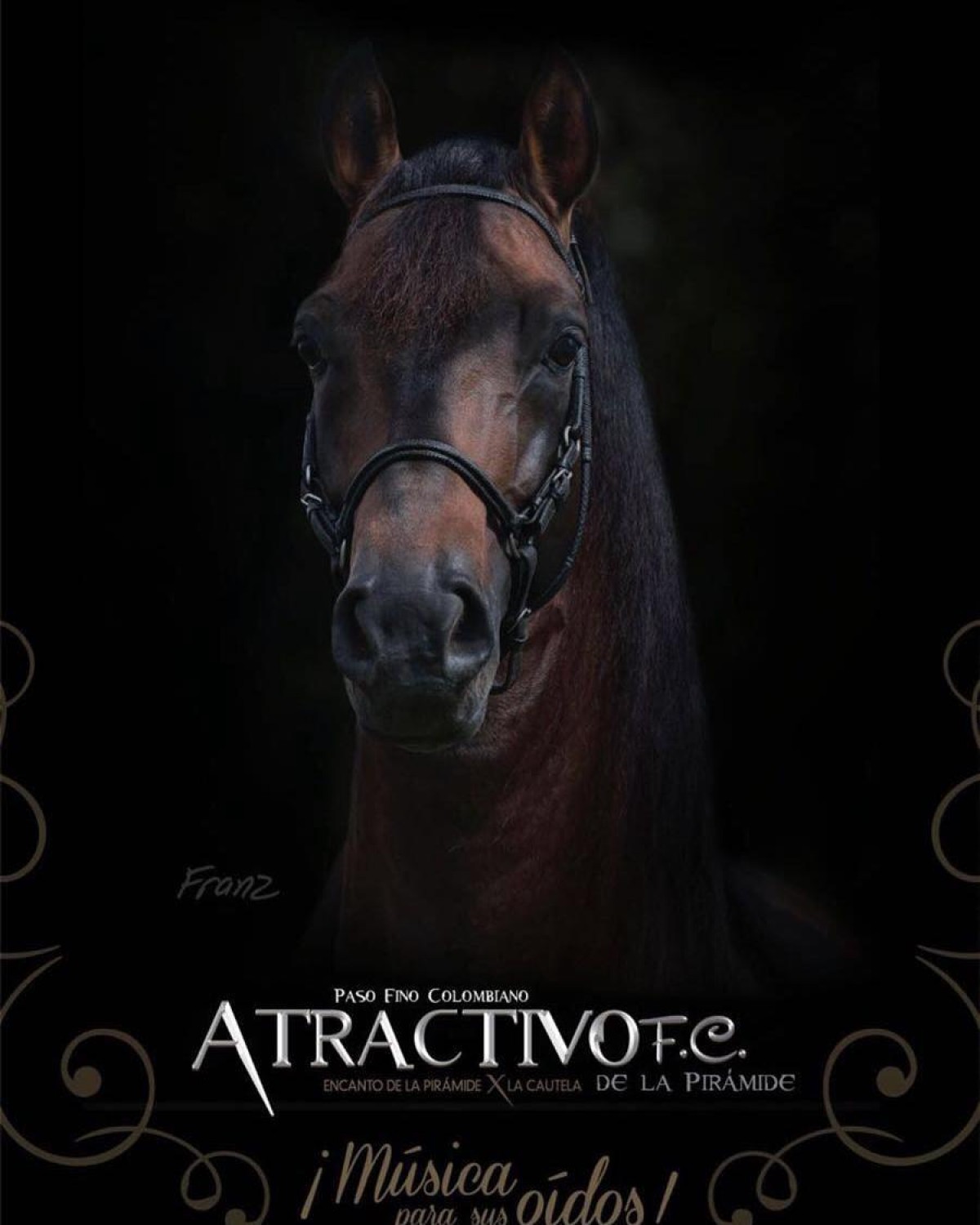 Información Importante Sobre Los Servicios De Atractivo De La Pirámide.