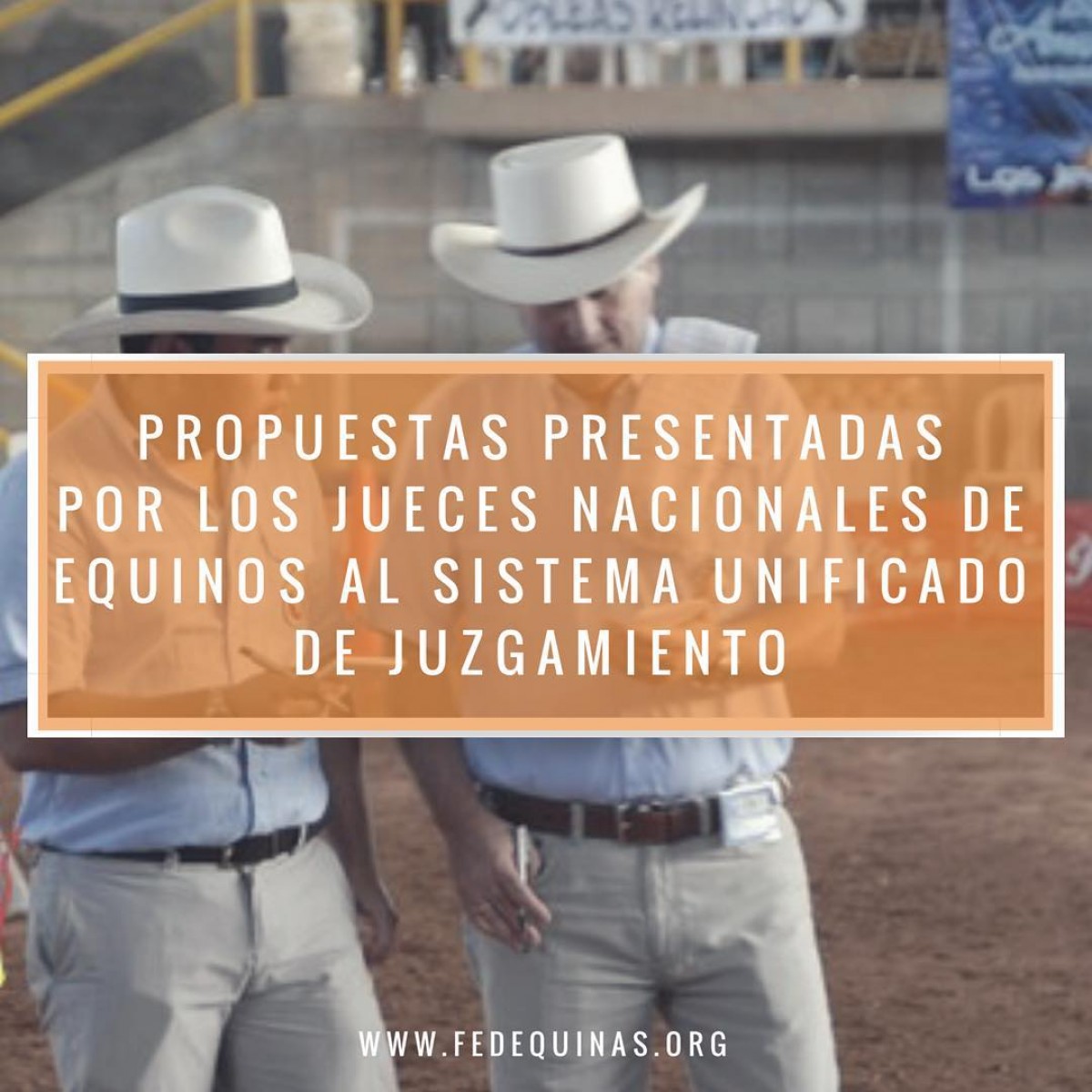 Fedequinas: Propuestas Presentadas Por Los Jueces Al Sistema De Juzgamiento