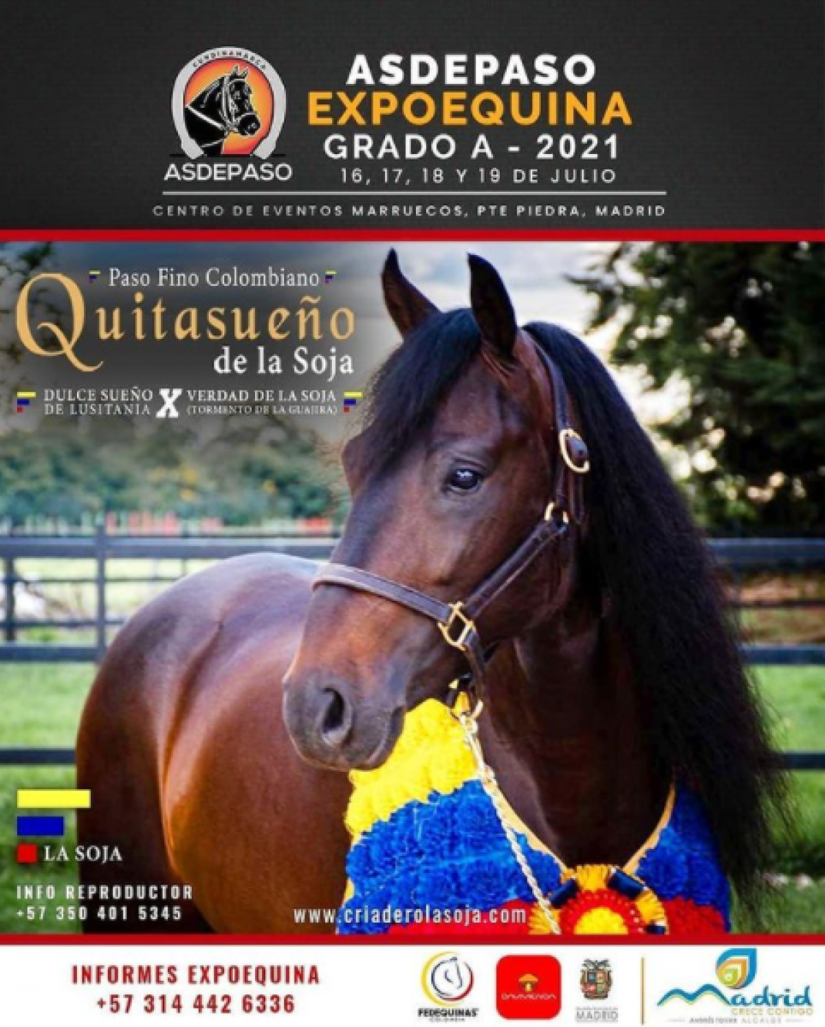 Vuelve la fiesta del Caballo Criollo a la Sabana de Bogotá.