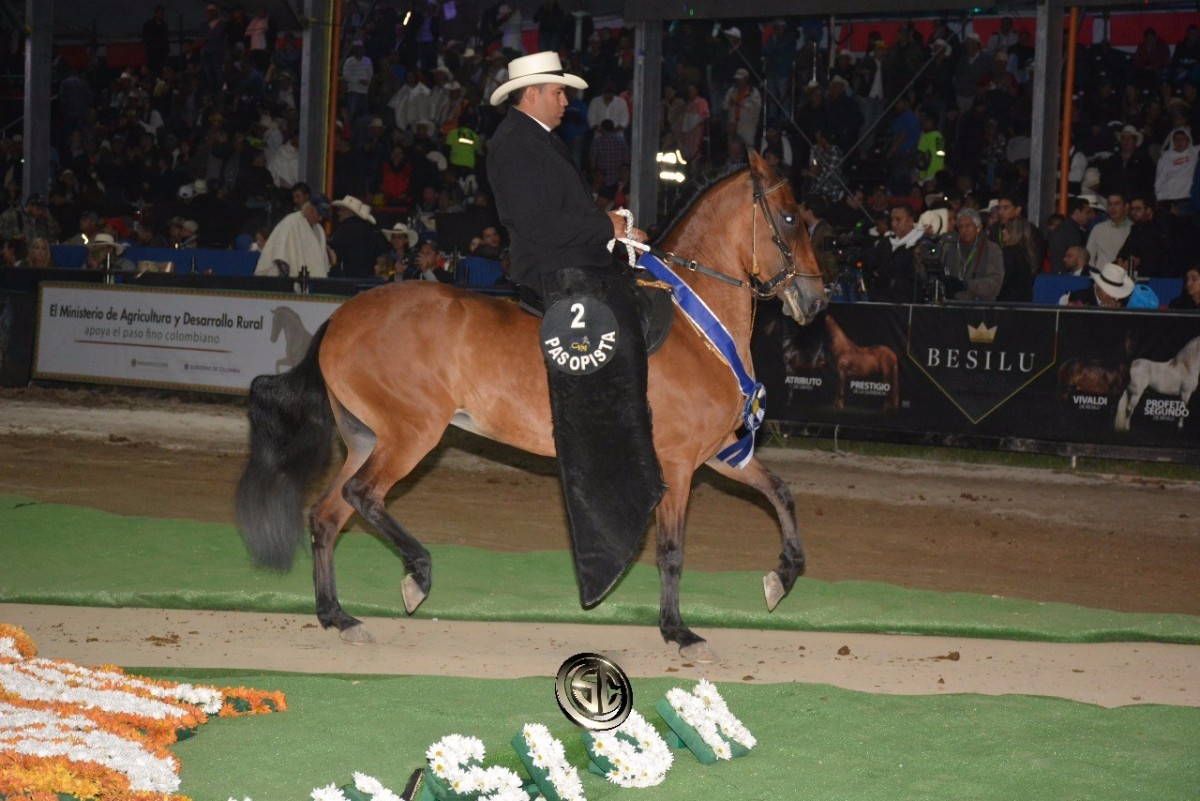 RESULTADOS XIII MUNDIAL EQUINA CONFEPASO 2017 - DÍA VIERNES