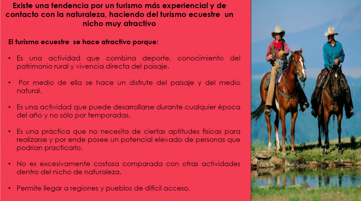 Turismo ecuestre - Procolombia - Fedequinas