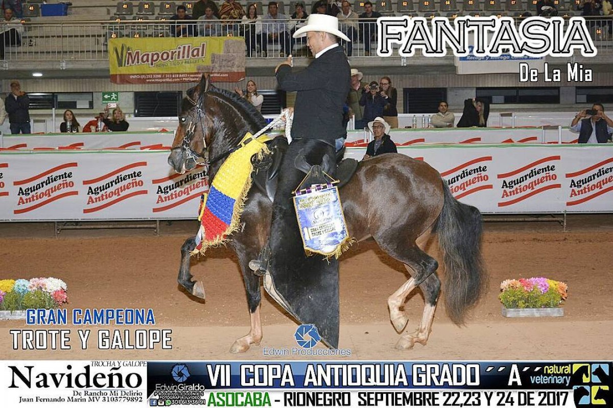 V&Iacute;DEO: Fantas&iacute;a Campeona, Isis Reservada, Trote y Galope, VII Copa Antioquia