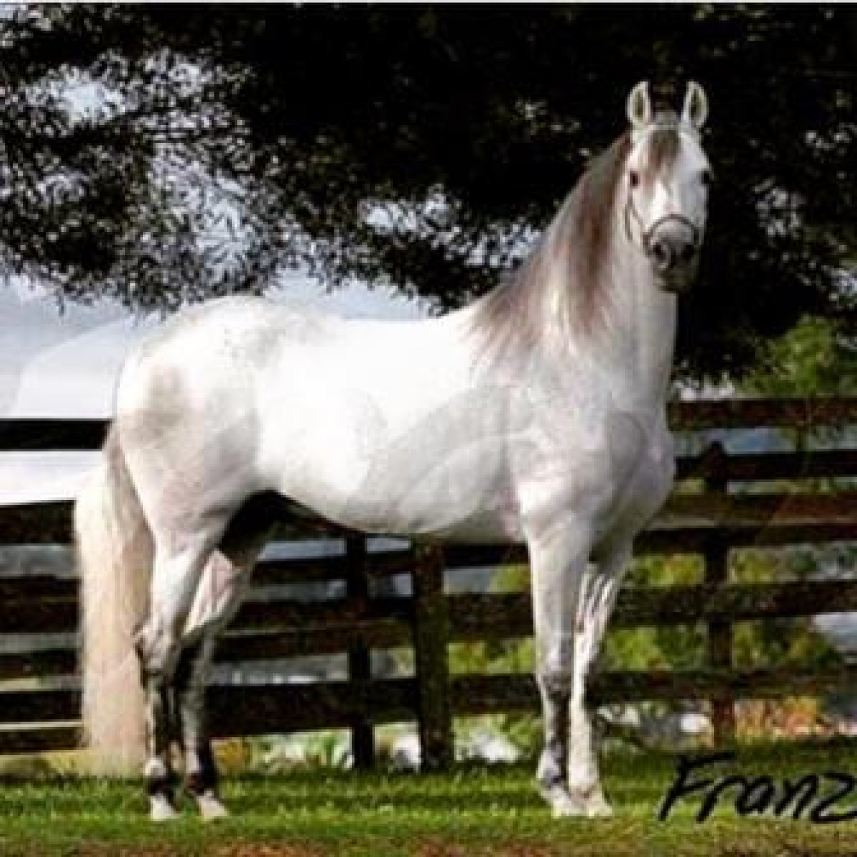 El Reproductor Que Colombia Estaba Esperando, &Eacute;xtasis