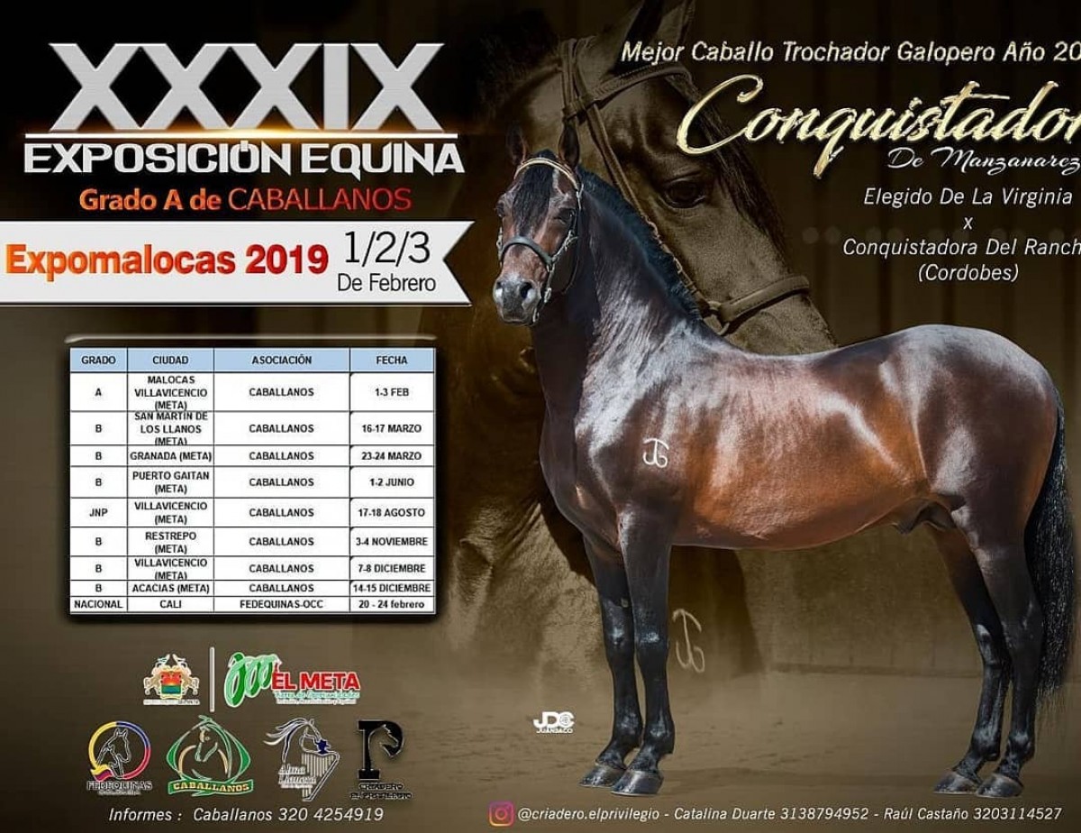 RESULTADOS Exposición Equina Grado A Caballanos, Expomalocas, - TROTE Y GALOPE 2019