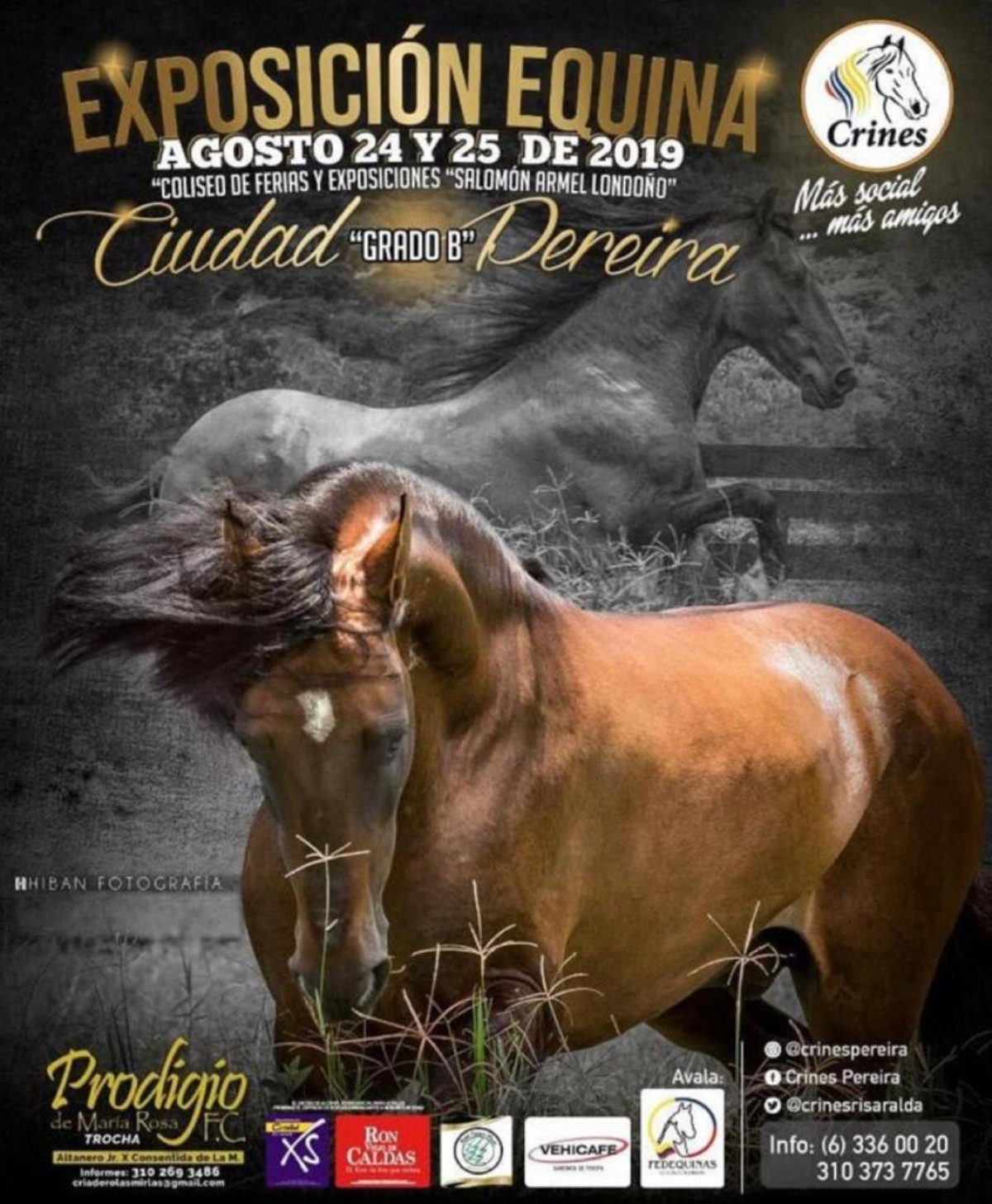 Exposición Equina Grado B Ciudad de Pereira, 24 y 25 de Agosto
