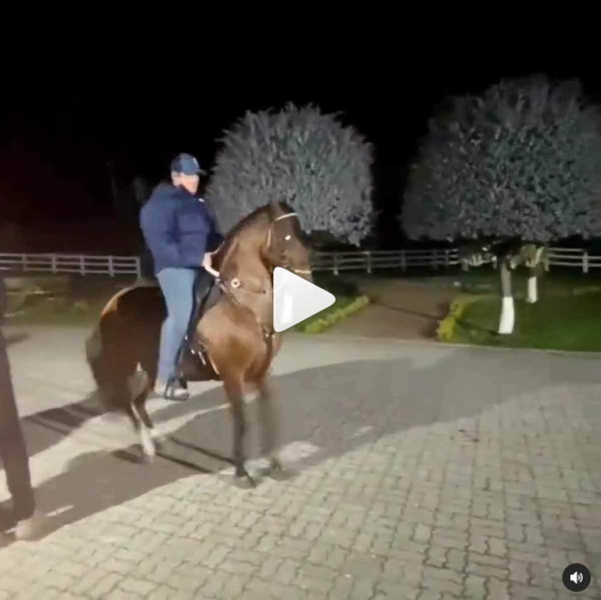 @gabrielito_martinez y Selecto de San Juan @biohorse