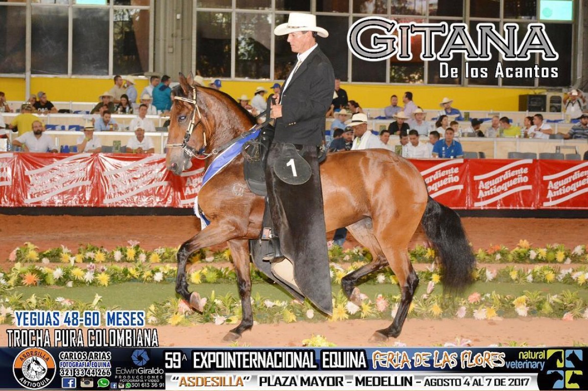 Feliz S&aacute;bado Les Desea GITANA DE LOS ACANTOS