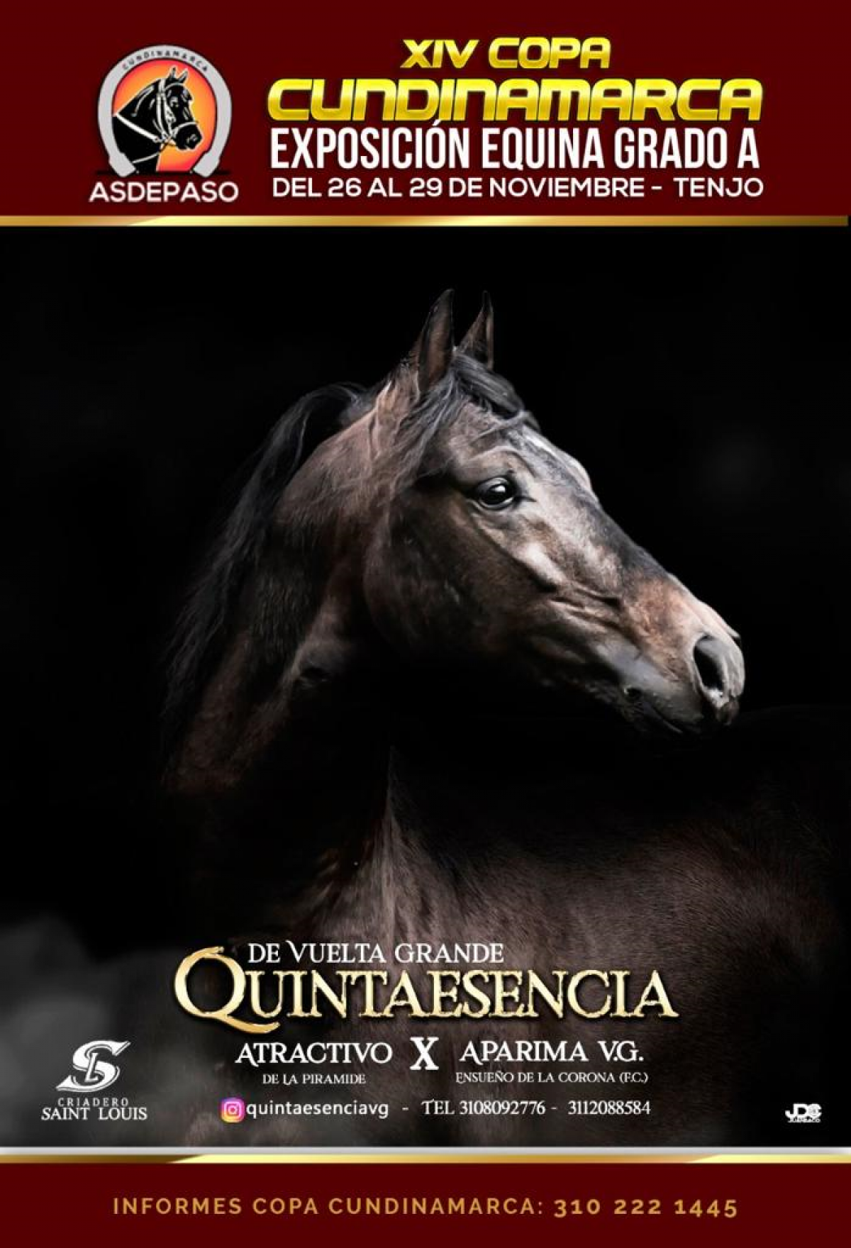 XIV Copa Cundinamarca 2020