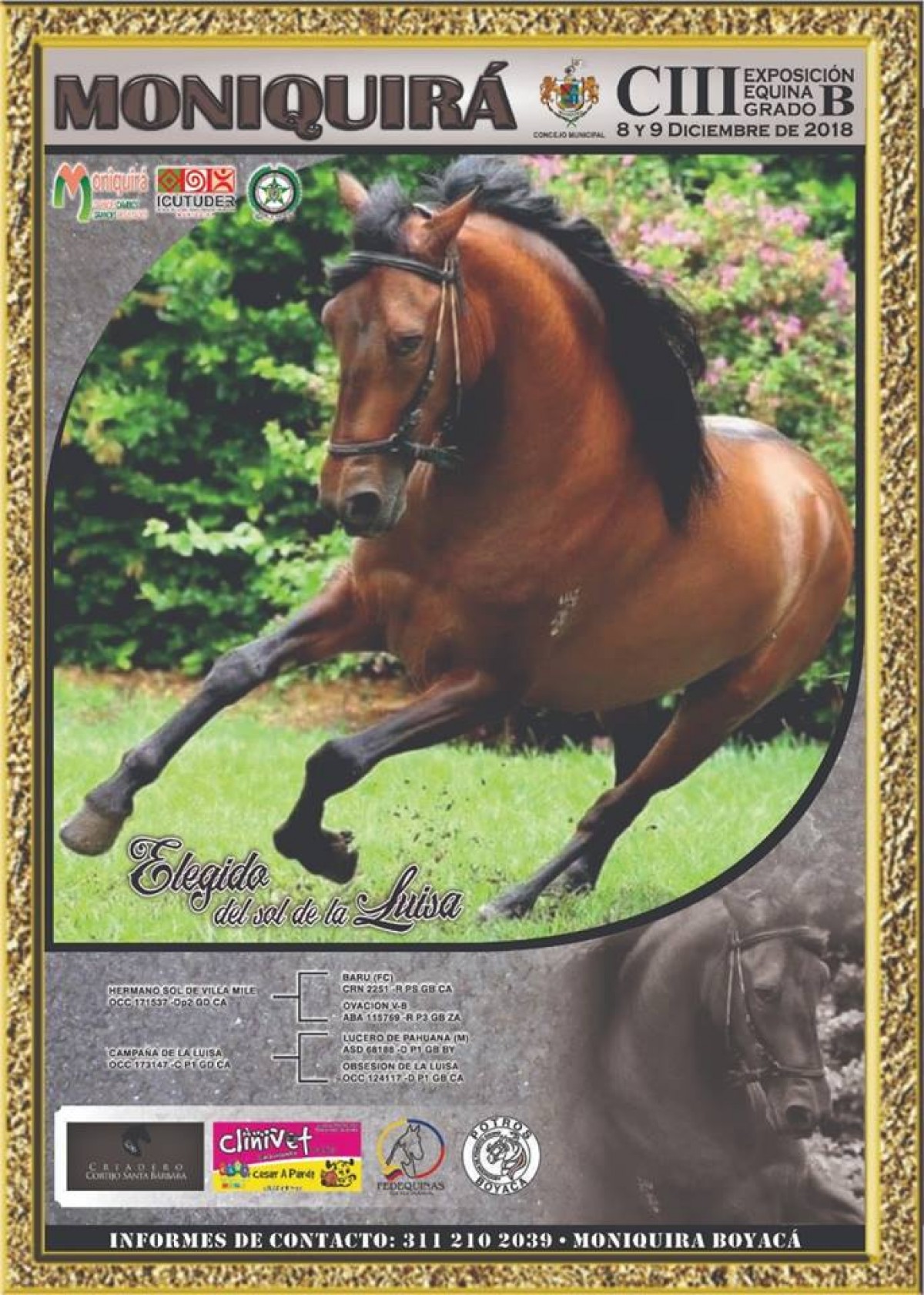 RESULTADOS CIII Exposición Equina Grado B Moniquirá 2018 - TROTE Y GALOPE