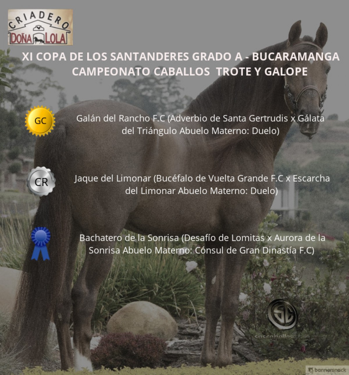 V&Iacute;DEO: Gal&aacute;n Campe&oacute;n, Jaque Reservado, Trote y Galope Bucaramanga 2018