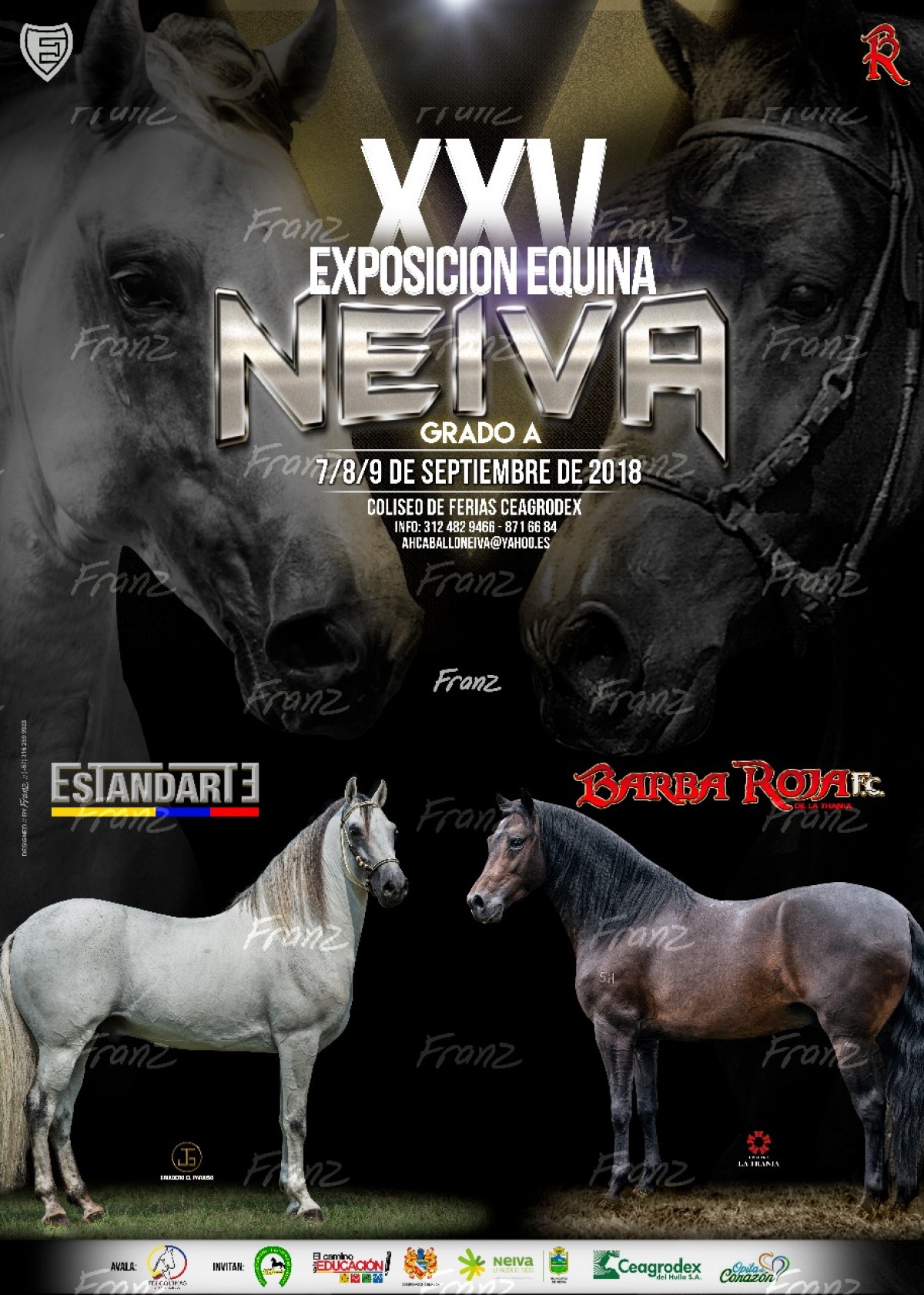 RESULTADOS XXV Exposici&oacute;n Equina Neiva Grado A 2018 -PASO FINO COLOMBIANO