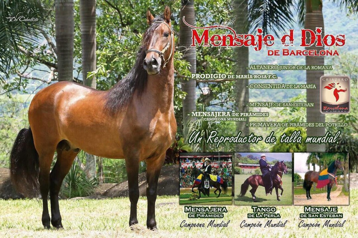 VÍDEO: Mensaje De Dios Hijo De Prodigio En La Mensajera