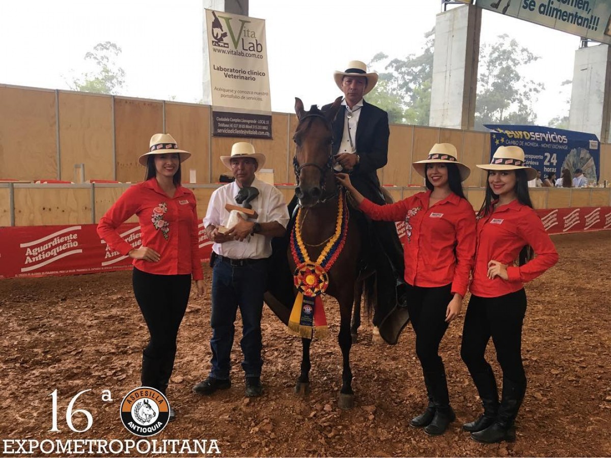 RESULTADOS 16a Expometropolitana Grado B - Asdesilla 2017