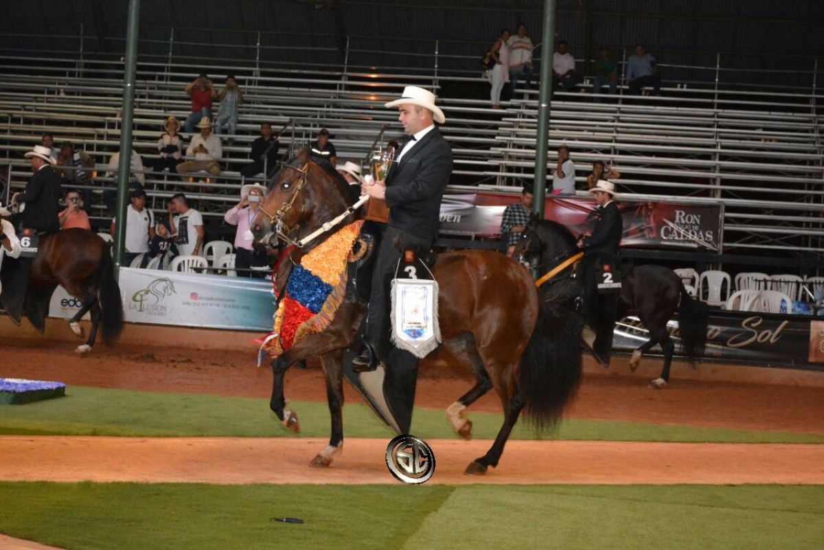 VÍDEO:Tentadora Campeona, Wuaka Wuaka Reservada,Trote Y Galope, XXV Copa América
