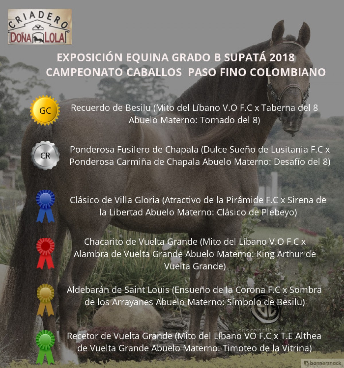 VÍDEO: Recuerdo Campeón, Ponderosa Reservado, Paso Fino Colombiano, Supatá