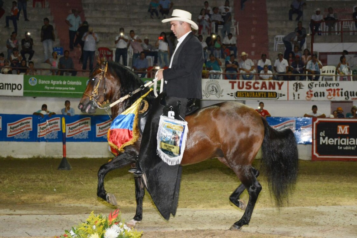 RESULTADOS Mejores Y Grandes Campeones, Sincelejo Grado A 2017