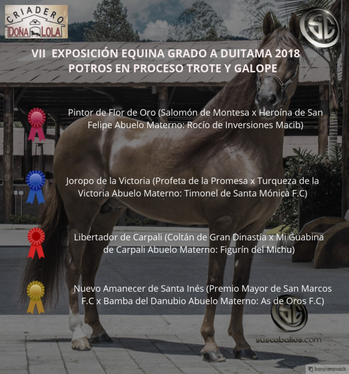 VÍDEO: Pintor Mejor, Joropo 1P, Potros Trote Y Galope, Duitama 2018
