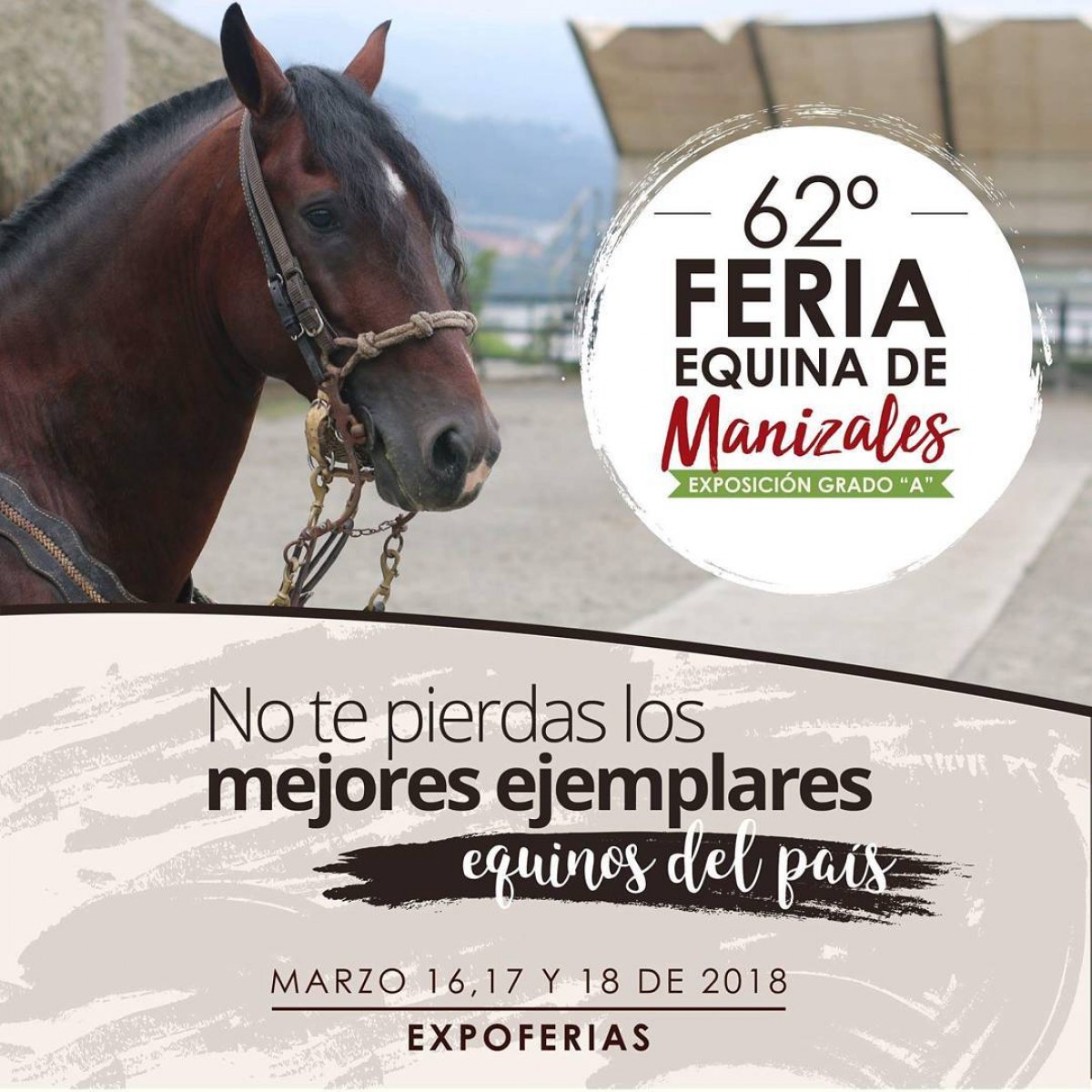 TRANSMISI&Oacute;N 62a Exposici&oacute;n Equina Grado A de Manizales, del 16 al 18 de Marzo