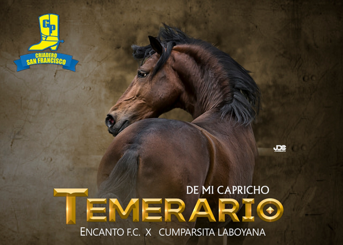 TEMERARIO DE MI CAPRICHO @temerario_de_mi_capricho