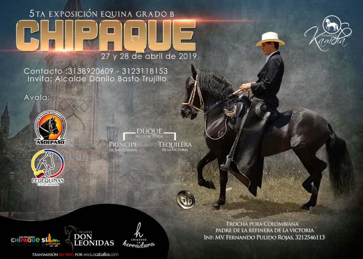 RESULTADOS 5ta Exposición Equina Grado B Chipaque 2019 - PASO FINO COLOMBIANO 