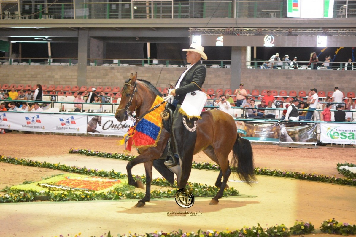 VÍDEO: Turqueza Campeona, Sensación Reservada, Trocha y Galope, Nacional 2018