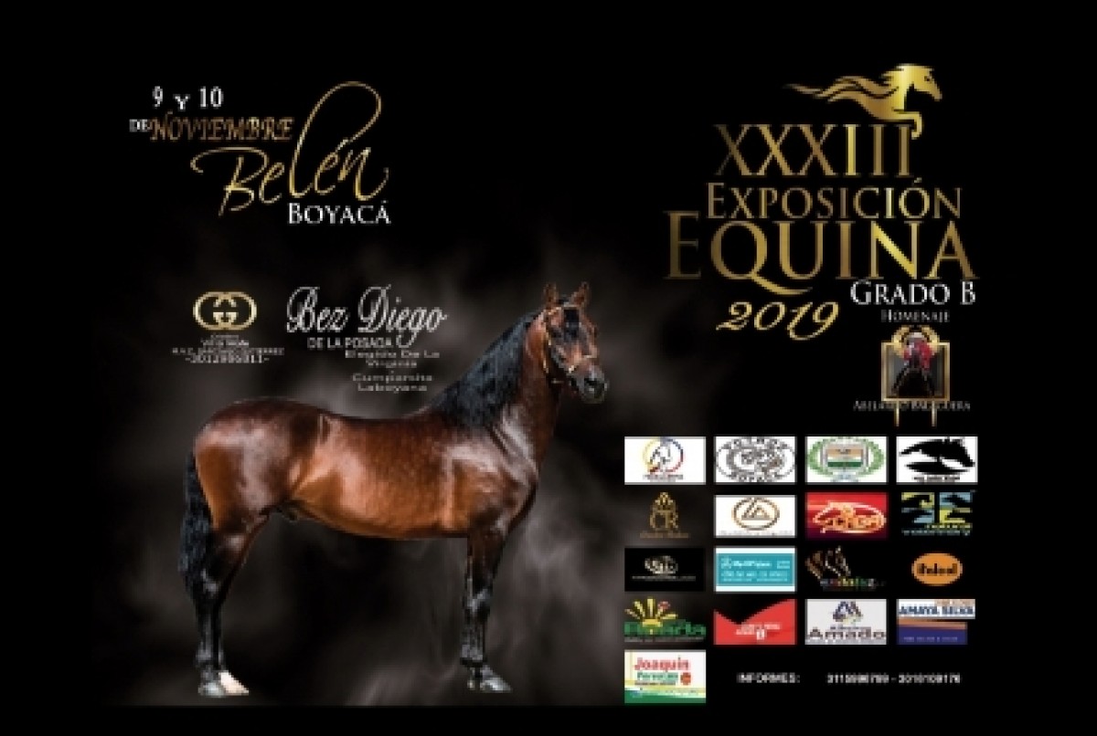 TRANSMISI&Oacute;N XXXIII Exposici&oacute;n Equina Grado B B&eacute;len, 9 y 10 de Noviembre