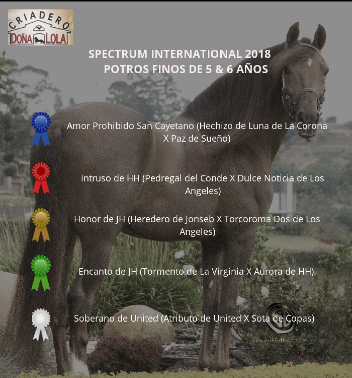 RESULTADOS  SPECTRUM INTERNATIONAL 2018 - DÍA SÁBADO