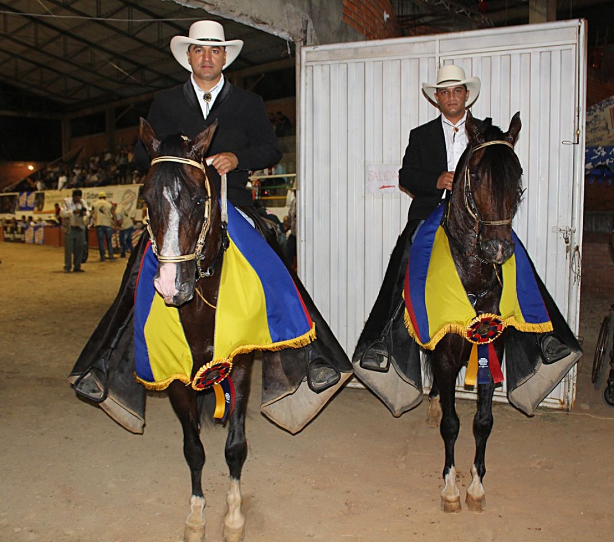 VÍDEO: Galáctico Campeón, Trillador Reservado, Trocha Y Galope, Cúcuta 2017