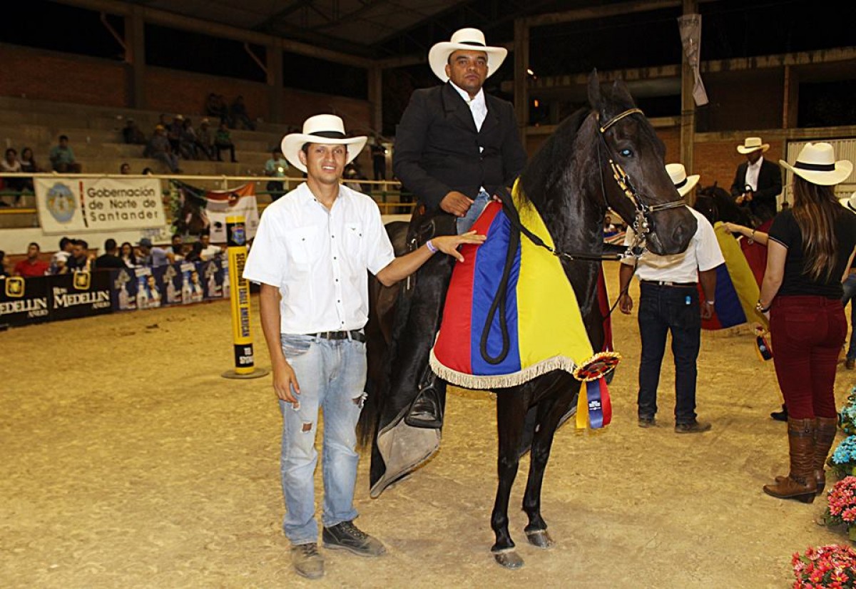 Bendición Del Silencio Y Diamante de San Pedro, Grandes Campeones Del Paso Fino Colombiano, Cucutá
