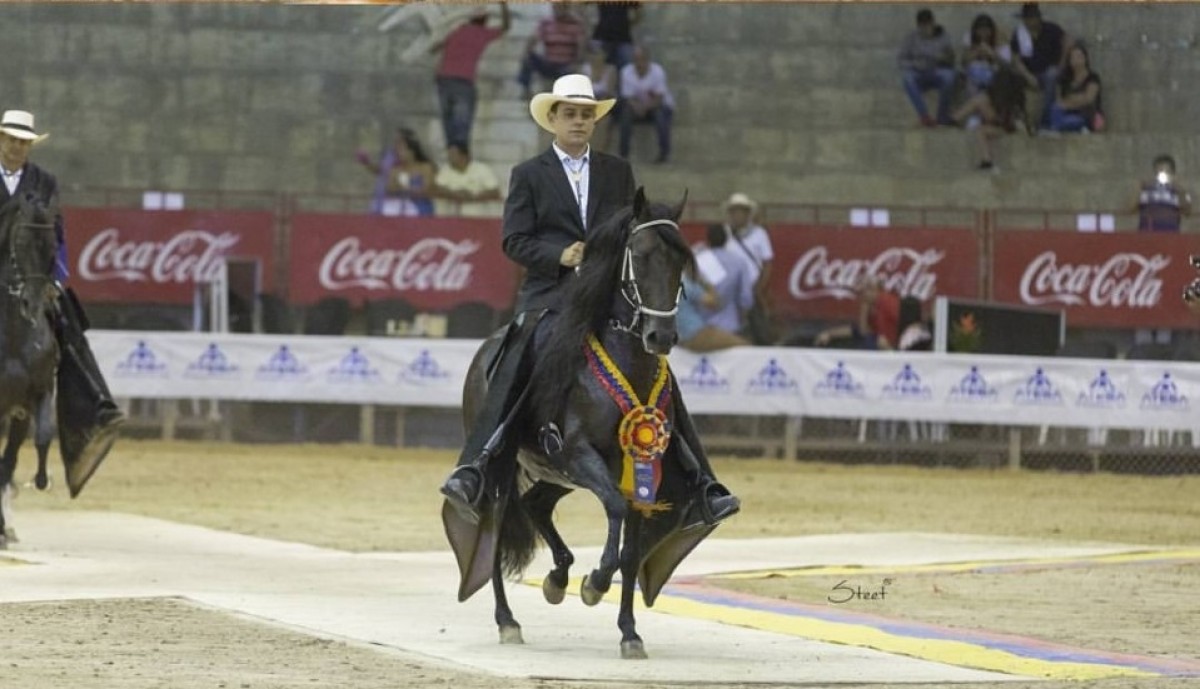 Nuevo Manejo Comercial Magnifico De Villa Andrea