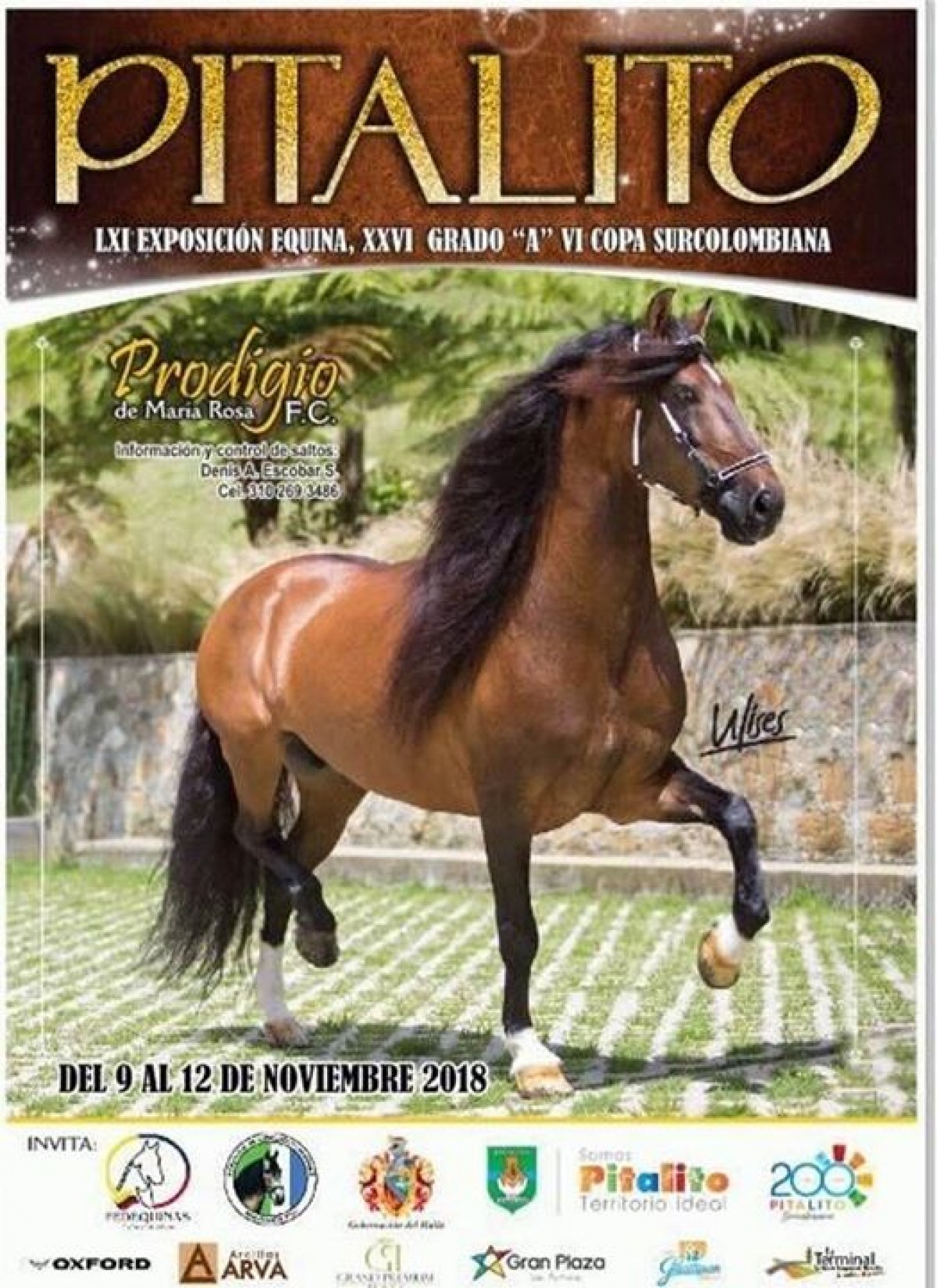 RESULTADOS XXVI Grado A, VI Copa Surcolombiana, Pitalito 2018 - TROCHA Y GALOPE