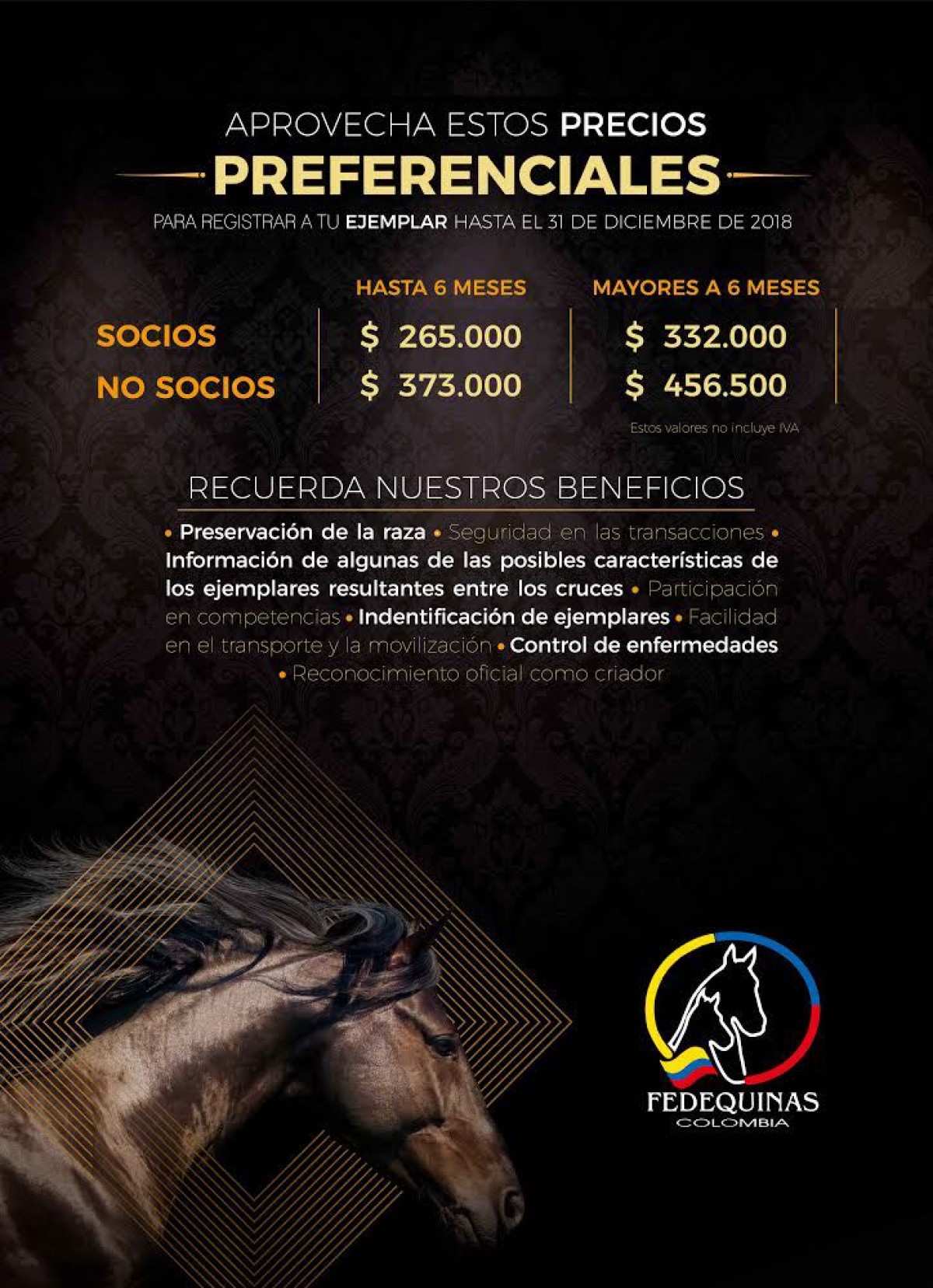 Aprovecha el valor de los registros de Fedequinas hasta el 31 de diciembre 2018