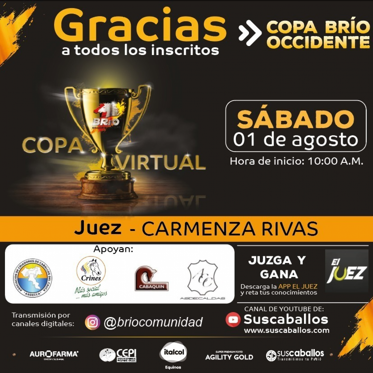 COPA VIRTUAL BRIO OCCIDENTE- Este sábado 1 de agosto
