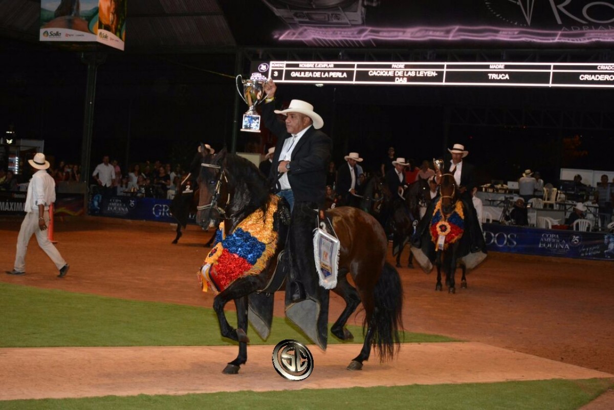 VÍDEO:Galilea Campeona, Sevillana Reservada, Trocha Colombiana, XXV Copa América