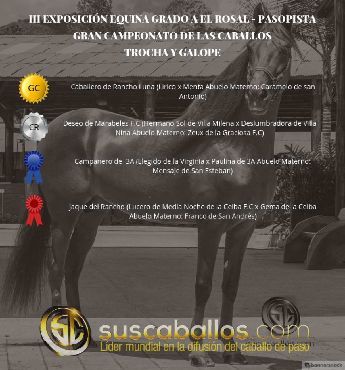 VÍDEO: Caballero Campeón, Deseo Reservado, Trocha Y Galope, III Exposabana