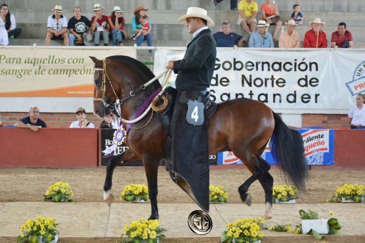V&Iacute;DEO: Bachatero Mejor, Don Macario 1P, Potros Trote Y Galope, C&uacute;cuta 2017