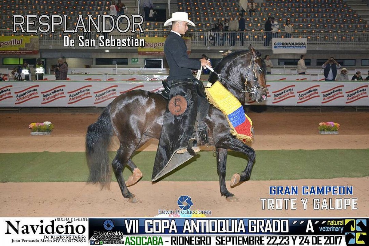 V&Iacute;DEO: Resplandor Campe&oacute;n, Tornado Reservado, Trote Y Galope, VII Copa Antioquia