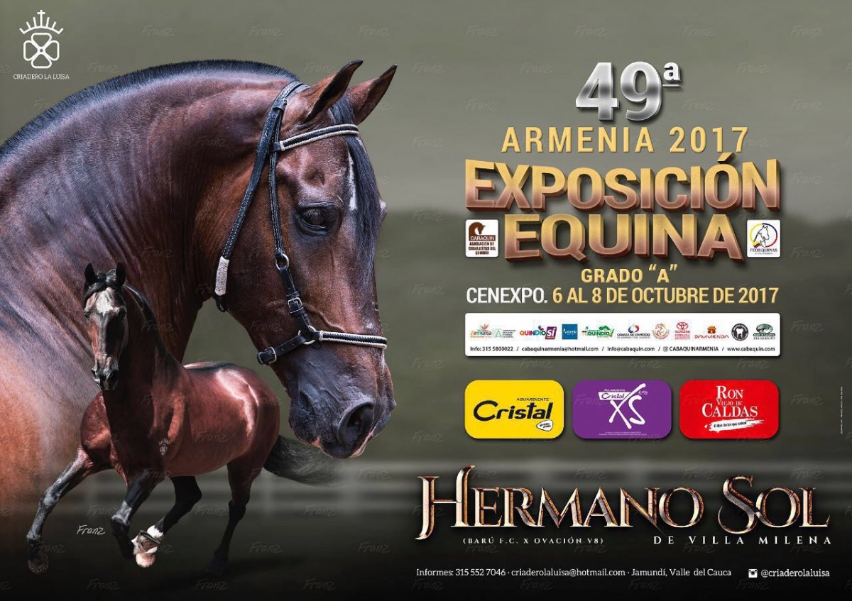 RESULTADOS 49a Exposici&oacute;n Equina Grado A, Armenia - TROCHA COLOMBIANA