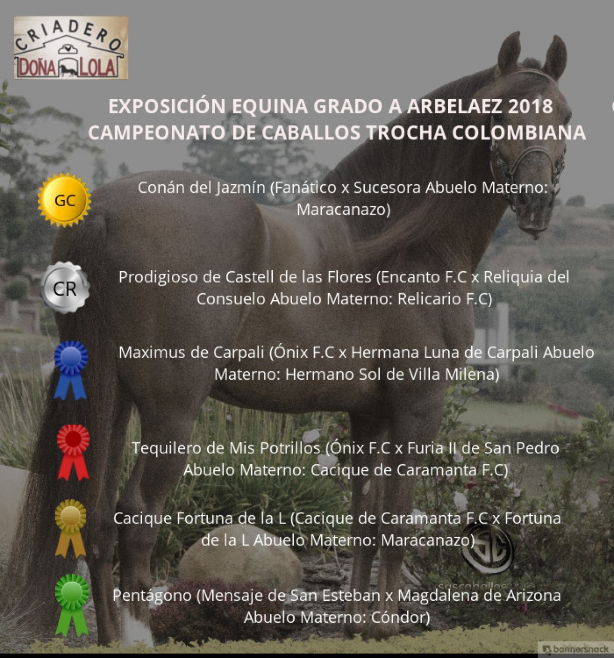 VÍDEO: Conan Campeón, Prodigioso Reservado, Trocha Colombiana, Arbeláez 2018